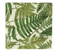 Talking Tables Lot de 20 serviettes de table pliées pour votre table 16,5 cm