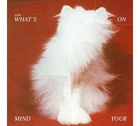 Talking to Turtles - and What's on Your Mind [Import]