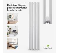 Tallheo 41 x 180 cm radiateur sèche-serviettes tubulaire 691 W eau chaude 1/2