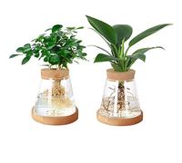 TALOEYH Lot de 2 postes de propagation de plantes, terrarium en verre, vase hydroponique avec couvercle en bois et support en bambou, cadeau pour les amateurs de jardinage