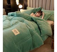 TALSAK Couette en Velours de Lait Double Face de Couleur Unie Confortable et agréable for la Peau (Couleur : Vert, Size : 220 * 240cm(5KG))