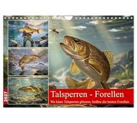 Talsperren - Forellen (Wandkalender 2027 DIN A4 quer), CALVENDO Monatskalender: Talsperren bieten ideale Lebensbedingungen für Forellen: klares, ... langsam, kräftig und aromatisch heran.