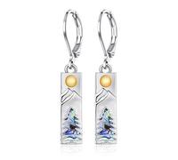 TALYKONG Boucles d'oreilles pendantes en forme de lotus, étoile de David et pentacle pour femme, coquillage d'ormeau, Petit, Laiton, Pas de pierre précieuse