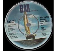 Tam White - WHAT IN THE WORLD'S COME OVER YOU 7" (45) UK RAK 1975
