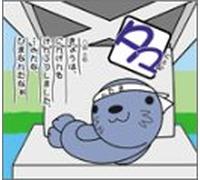 Tama Chan [Import]