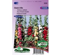 Tamarin double Chater's Mix - Graines de fleurs bisannuelles - Environ 0,6 g | SG5030