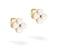 Tamaris clous d'oreilles TJ-0518-E-08 IP or