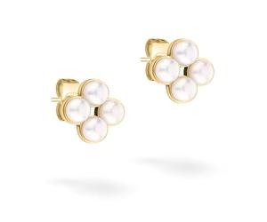 Tamaris clous d'oreilles TJ-0518-E-08 IP or