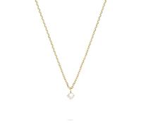 Tamaris Collier - Colliers avec pendentif scintillant en acier inoxydable - Or IP - Chaîne d'ancre réglable jusqu'à 43 cm - Imperméable et doux pour la peau