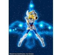 TAMASHII Nations Figurine Cygnus Hyoga 20th Anniversary Saint Seiya Cloth Myth 16 cm