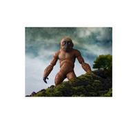 Tamashii Nations Figurines Godzilla x Kong Pack 2 – S.H. Monster Arts Suko & Mothra Multicolore G