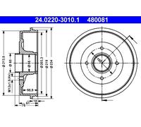 Tambour De Frein D'Axe Arrière Pour NISSAN RENAULT KANGOO KUBISTAR