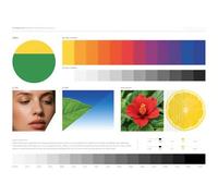 Tambour d'imagerie Ultra Longue durée - 140 000 Pages, Compatible avec Xerox VersaLink C7000/C7000DN C7000N (remplace 113R00782)(Yellow,Drum Unit)