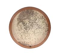 Tambour D'OcéAn Wave Drum Nature Thérapie sonore Yoga Méditation Sounds Tambours Instrument de musique(18 inches)