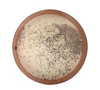 Tambour D'OcéAn Wave Drum Nature Thérapie sonore Yoga Méditation Sounds Tambours Instrument de musique(22 inches.)