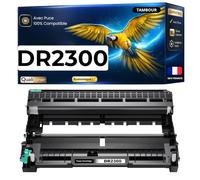 Tambour DR2300 DR-2300 DR 2300 Noir Compatible pour Brother DCP-L2500D L2520DW L2540DN L2560DW HL-L2300D L2340DW MFC-L2700DW Puce 12000 Pages