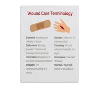 TAMDDBPJD Clinical Wound Terminology Poster Canvas Wall-Art Drainage Types Chart Nursing Education Study Reference(Framed,08x12inch(20x30cm))