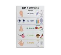 TAMDDBPJD Educational Spanish Poster Five Senses Chart Hearing Sight Taste Touch Canvas Wall-Art for School(Framed,12x18inch(30x45cm))