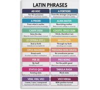 TAMDDBPJD Latin Expressions Poster Vocabulary Chart Boho Theme | Great conversation starter for literature history lovers(Framed,16x24inch(40x60cm))