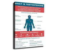 TAMDDBPJD Men's Health Education Low Testosterone Symptoms Poster Canvas Wall-Art for Gym Clinic(Framed,08x12inch(20x30cm))