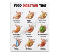 TAMDDBPJD Nutrition and Digestion Time Chart Educational Anatomy Poster Health Canvas Wall-Art for Clinic Waiting Room Home Office(Framed,12x18inch(30x45cm))