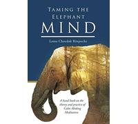 Taming The Elephant Mind