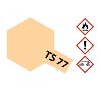 TAMIYA Peinture Aérosol pour Plastikmodelle TS-77 Chair Mat 100ml / 300085077