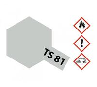 TAMIYA Peinture Aérosol pour Plastikmodelle TS-81 British Marine Gris Mat 100ml