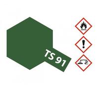 TAMIYA Peinture Aérosol pour Plastikmodelle TS-91 Jgsdf Vert Foncé 100ml Spray /