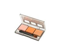 TAMIYA 300087126 87126 Lot de 1 Peinture en Poudre pour modélisme Saumon, Caramel, châtaignier foncé