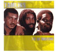 Tamlins - I'll Be Waiting [Import]