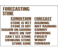 TammieLove Tinsigneua29228 Plaque en métal avec inscription « Weather Forecasting Stone » 20,3 x 30,5 cm