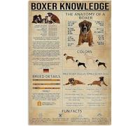 TammieLove TinSignEUa45203 Plaque en métal rétro Inscription Boxer Knowledge Dog For D?Cor Cadeau pour amoureux des chiens et amis Poster Thanksgiving 20,3 x 30,5 cm