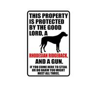 TammieLove TinSignTammieLoveA3910 Plaque en métal vintage avec inscription « Warning This Property Is Protected By The Good Lord A Rhodesian Ridgeback Dog » 20,3 x 30,5 cm