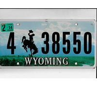 TammieLove Wyoming Passenger 2014 Plaque d'immatriculation 4 38550 " 6 x 12 pouces