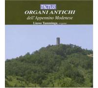 Tamminga l. / Organi Antichi Dell’appennino Modenese