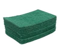 Tampon abrasif vert professionnel grand modèle x10