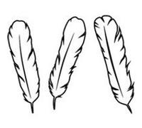 Tampon bois - 3 plumes Multicolore G