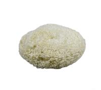 Tampon de polissage en laine de mouton torsadé blanc de 1,6 / 17,8 cm - Disque en laine de mouton 4 plis pour polissage et élimination des rayures - Roue lavable compatible avec avions, navires
