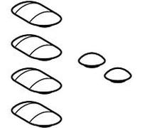 tampon Geberit 243986001 pour siège WC