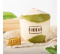 Tampon Personnalisé Pour Noix De Coco, Fer à Marquer Pour Noix De Coco, Créer Une Noix De Coco Unique Pour Mariage/Anniversaire, Cadeaux Personnalisés Pour Couple De Jeunes Mariés, Famille.