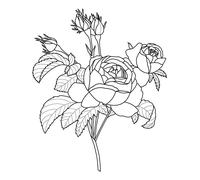 Tampon Roses - 50x60 Mm - Bois