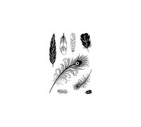 Tampons Clear Stamps « Plumes »