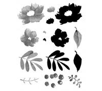 Tampons Transparents Anémones - 14x18 Cm