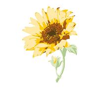 Tampons transparents en couches Sizzix, lot de 6 tiges de tournesol par Olivia Rose | 665975 | Chapitre 4 2022