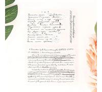 Tampons transparents en silicone transparent pour fabrication de cartes, scrapbooking, album photo, papier, cartes, journaux, loisirs créatifs, style 1 16 x 11 cm