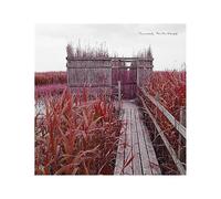 Tan Tan Therapy - Vinyle 33 Tours