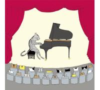 Tanaka Kazumi - My Favorite Chopin [Import]