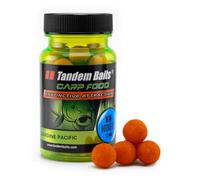 Tandem Baits Carp Food Perfection Mini Hookers Sardine du Pacifique, D'appâts pour carpes, Pêche de la Carpe, Peche, Pop-Ups, Bouillette Carpe, Professionnel Accessoires de Pêche Carpe 12mm 50g