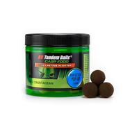 Tandem Baits Carp Food Perfection Mini Pop-Up Poissons et crustacés, D'appâts pour carpes, Pêche de la Carpe, Peche, Pop-Ups, Bouillette Carpe, Professionnel Accessoires de Pêche Carpe 16mm 70g